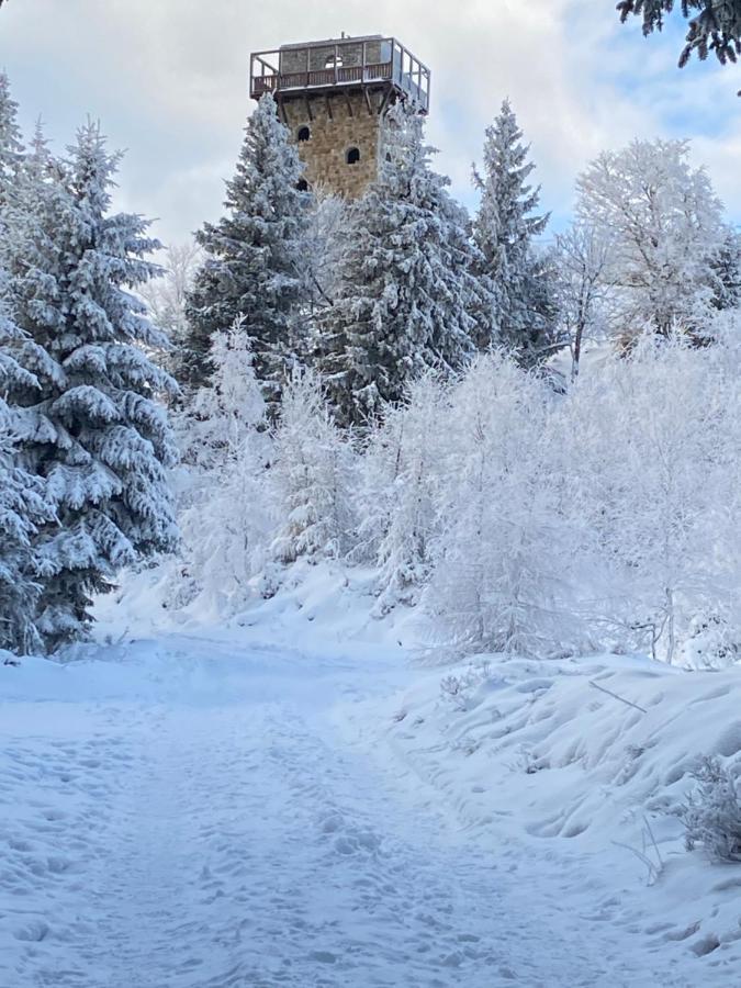 Platynowy Lägenhet Szklarska Poręba Exteriör bild