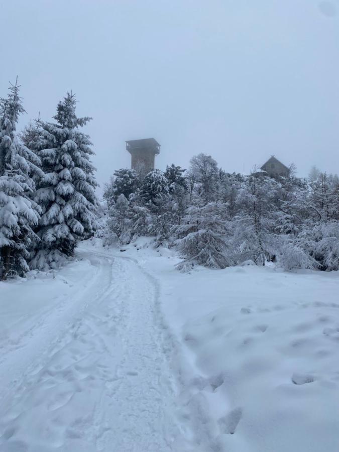Platynowy Lägenhet Szklarska Poręba Exteriör bild